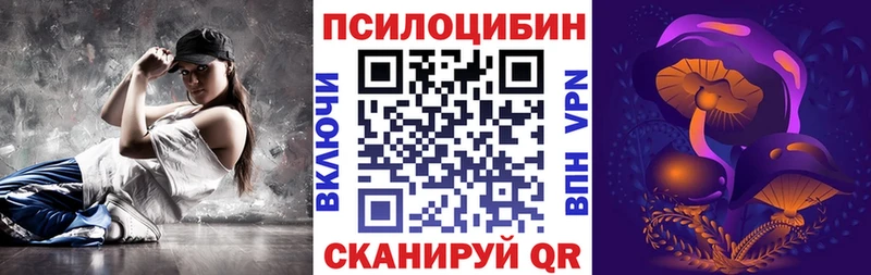 где купить   Черемхово  Псилоцибиновые грибы Cubensis 